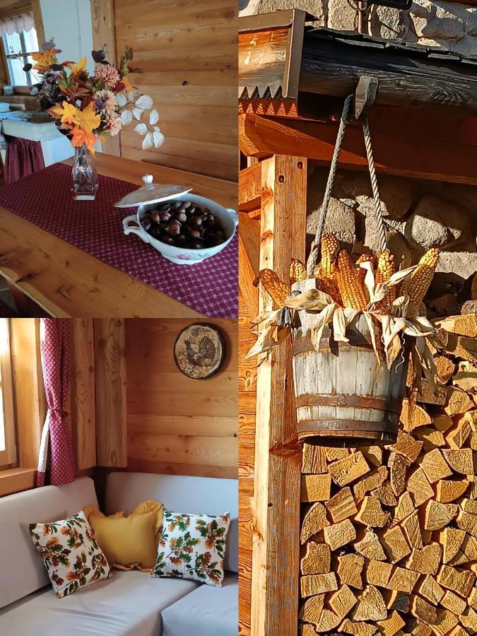 Baita Dei Fovi Baselga di Pine Bagian luar foto